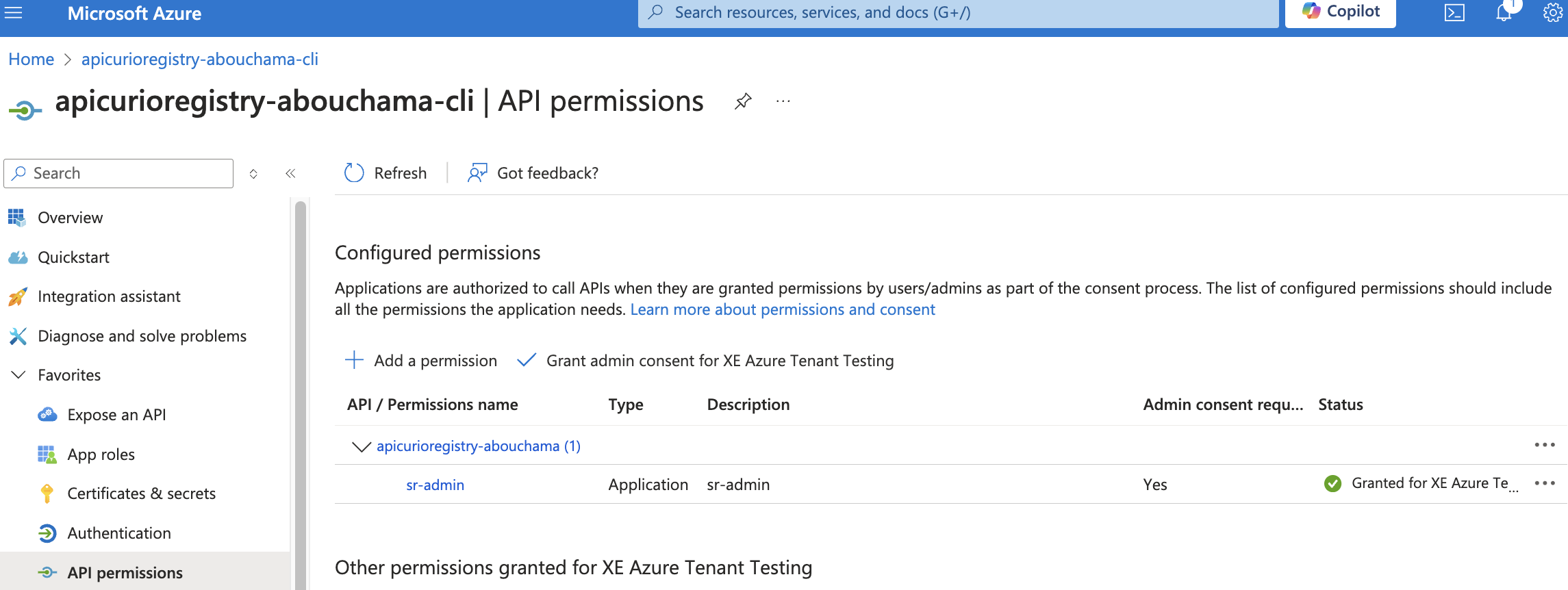 API Permissions